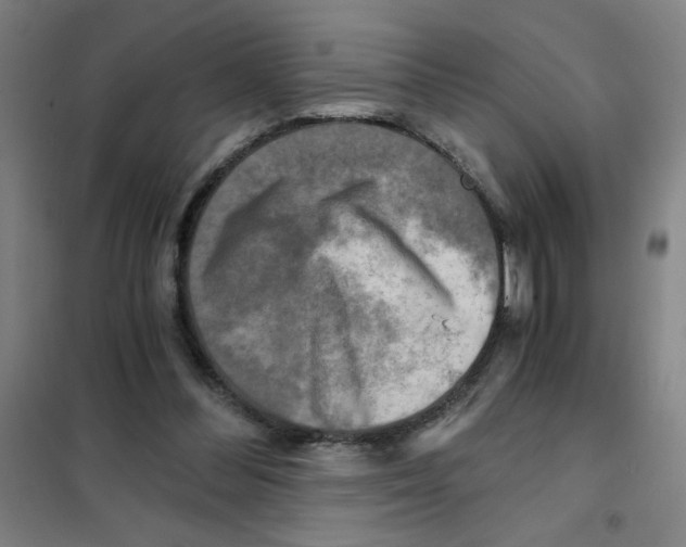 X0000101410300200808041111
