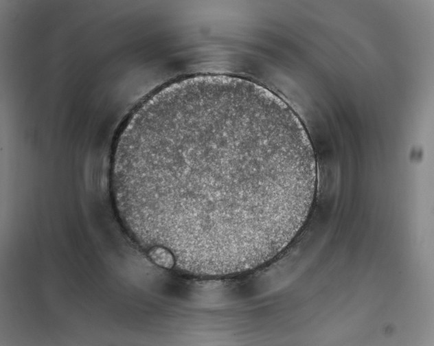 X0000101410301200808041110