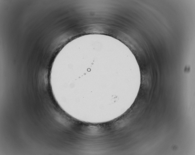 X0000101410302200808041110