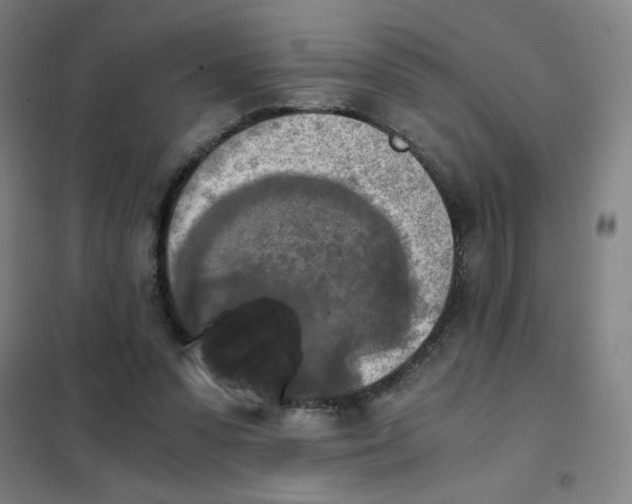 X0000101410303200808041110