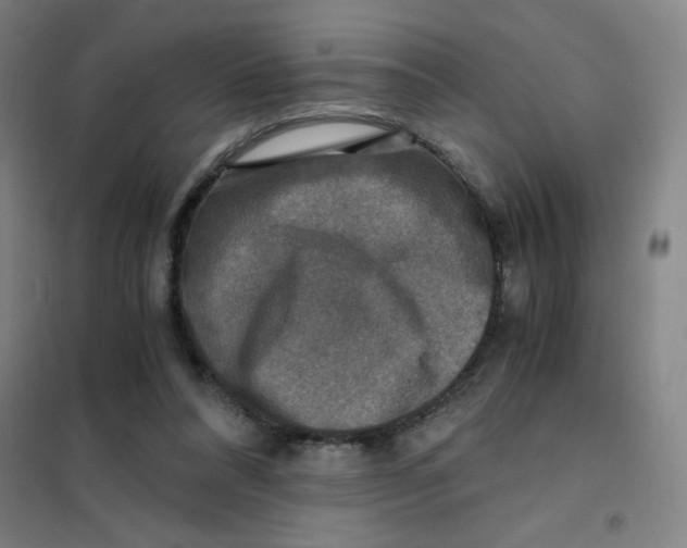 X0000101410304200808041110