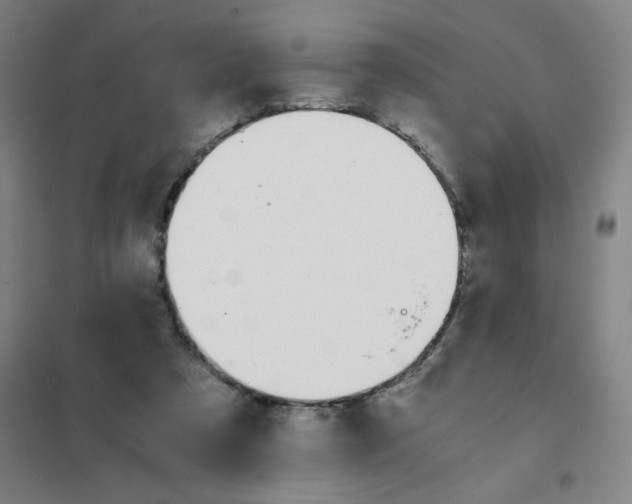 X0000101410305200808041110