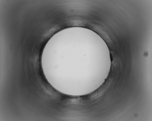 X0000101410306200808041110