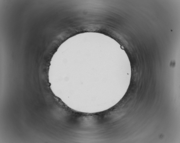 X0000101410307200808041110