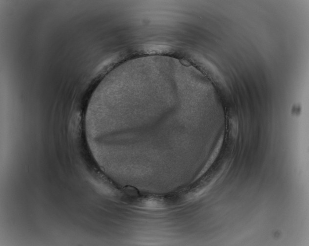 X0000101410308200808041110