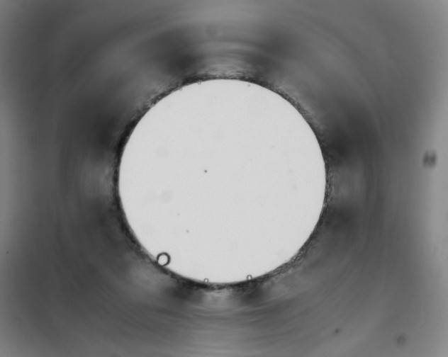 X0000101410309200808041110