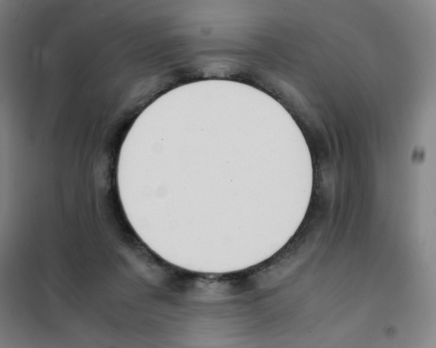 X0000101410311200808041110