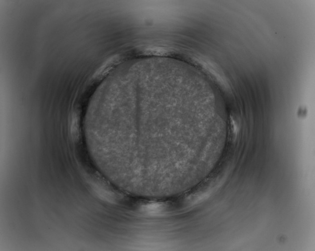 X0000101410312200808041110