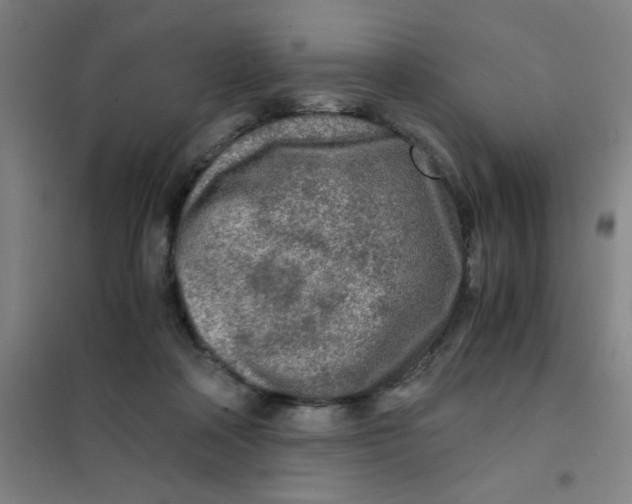 X0000101410314200808041110