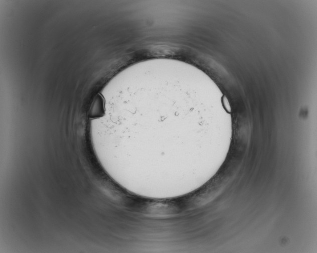 X0000101410315200808041110