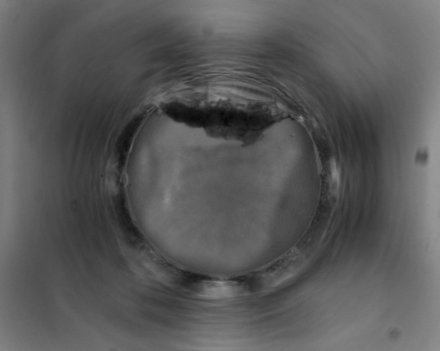 X0000101410316200808041110