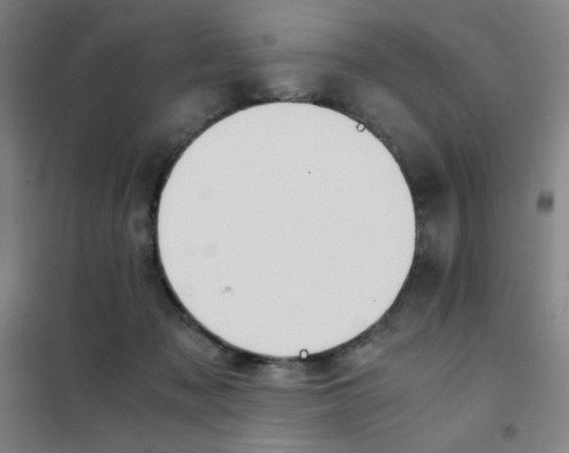 X0000101410317200808041110