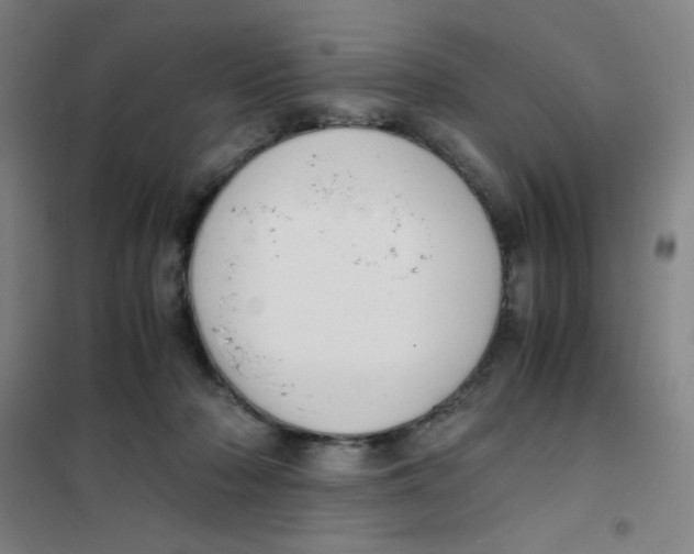 X0000101410318200808041110