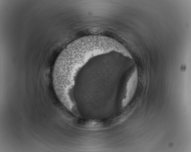 X0000101410319200808041110