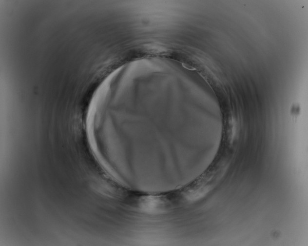 X0000101410320200808041110