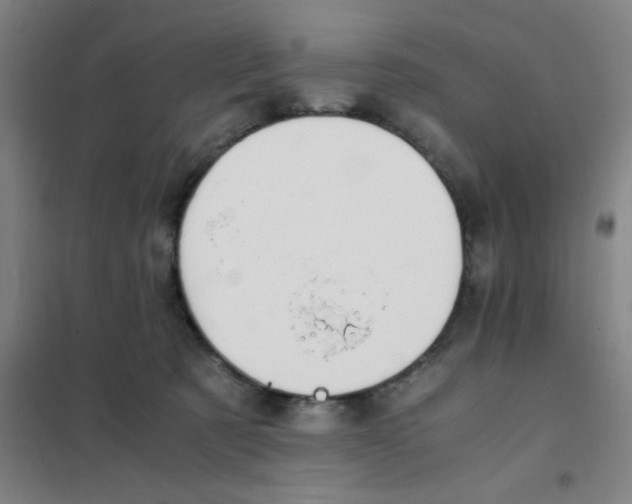 X0000101410321200808041110