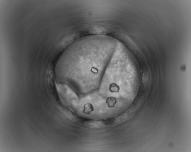 X0000101410322200808041110