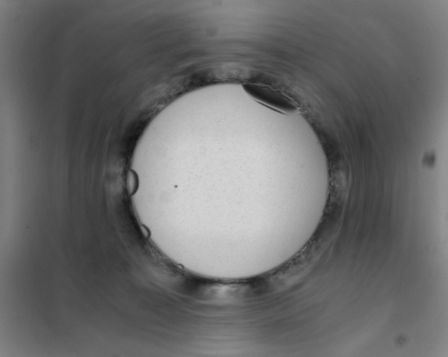 X0000101410323200808041110