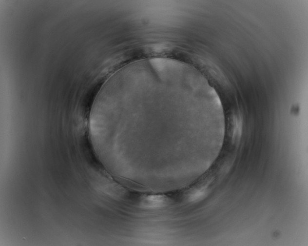 X0000101410324200808041110