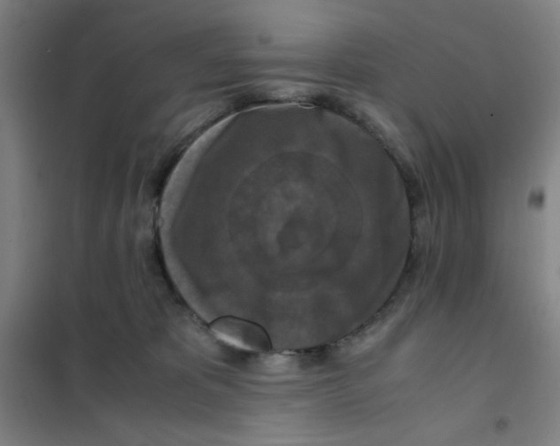 X0000101410325200808041110