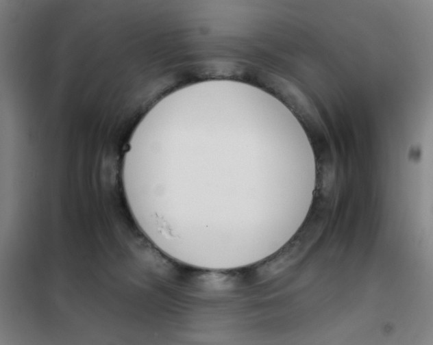 X0000101410326200808041110