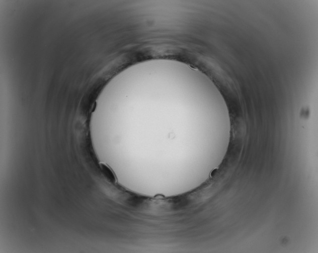 X0000101410327200808041110