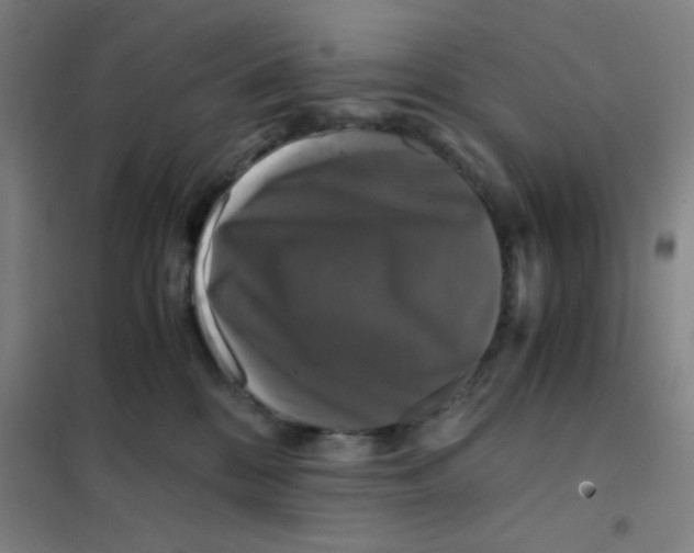X0000101410328200808041110
