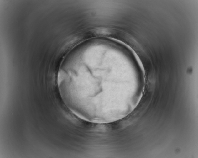 X0000101410330200808041110