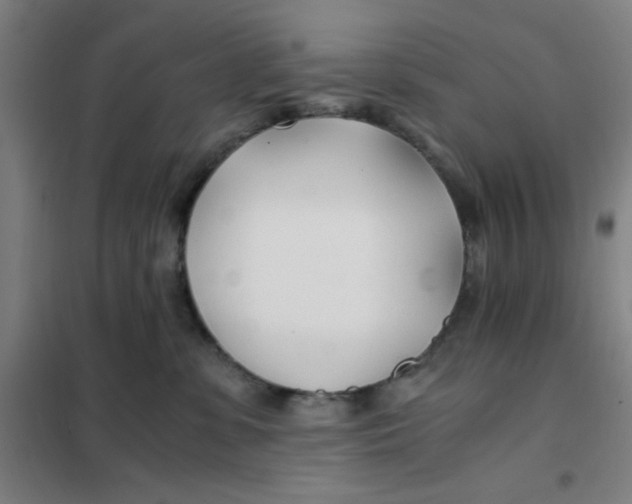 X0000101410331200808041110