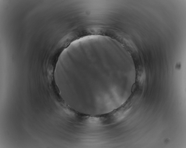 X0000101410332200808041110