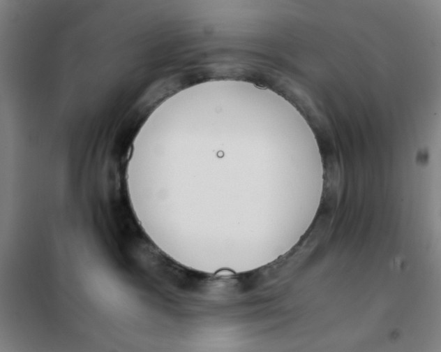 X0000101410333200808041110