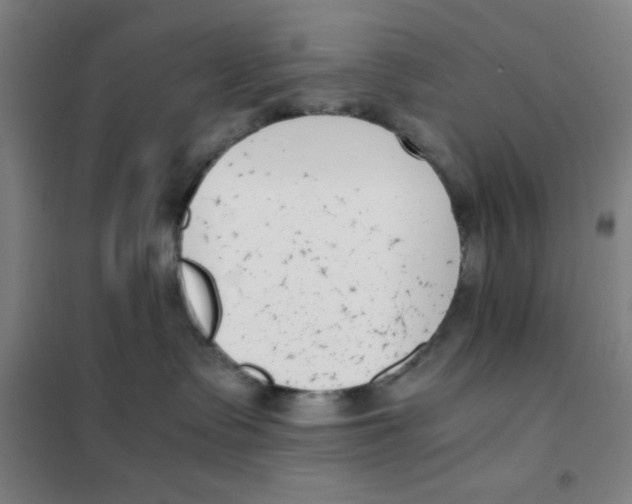 X0000101410335200808041110