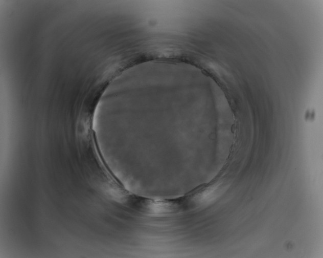 X0000101410336200808041110
