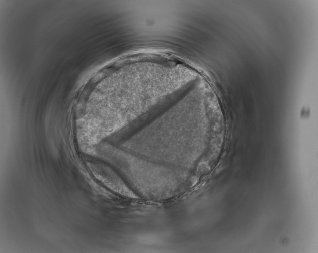 X0000101410337200808041109