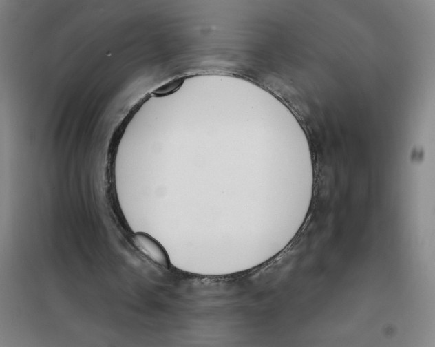 X0000101410338200808041109
