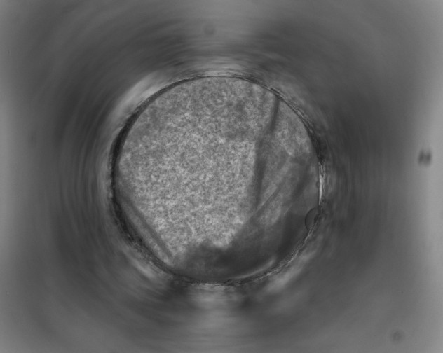 X0000101410339200808041109