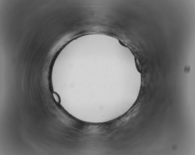 X0000101410341200808041109