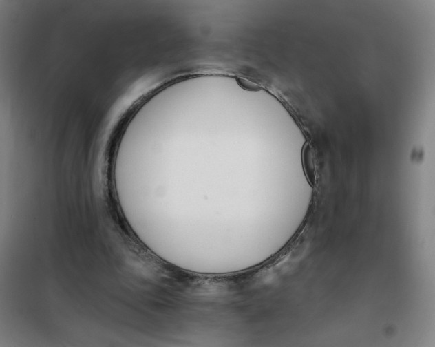 X0000101410343200808041109