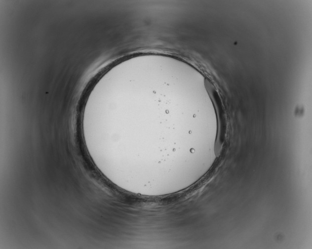 X0000101410344200808041109