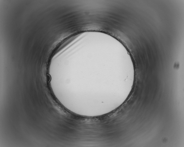 X0000101410345200808041109