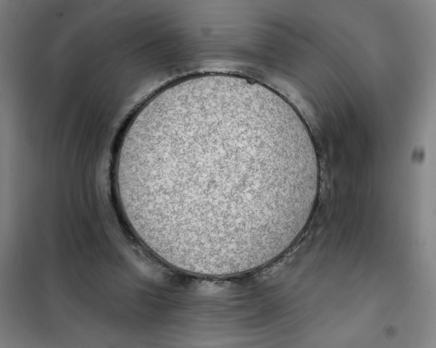 X0000101410346200808041109