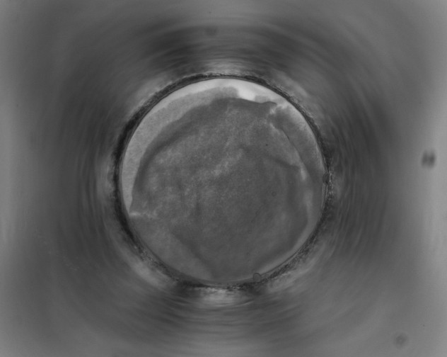 X0000101410347200808041109