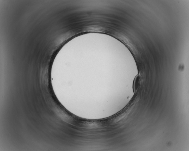 X0000101410349200808041110