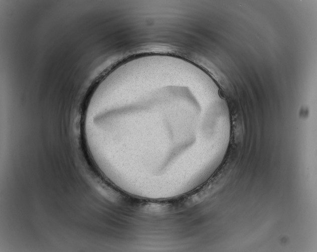 X0000101410350200808041110