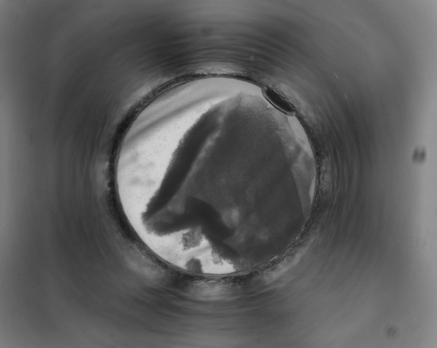 X0000101410351200808041110