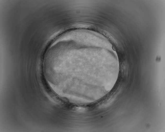 X0000101410352200808041110