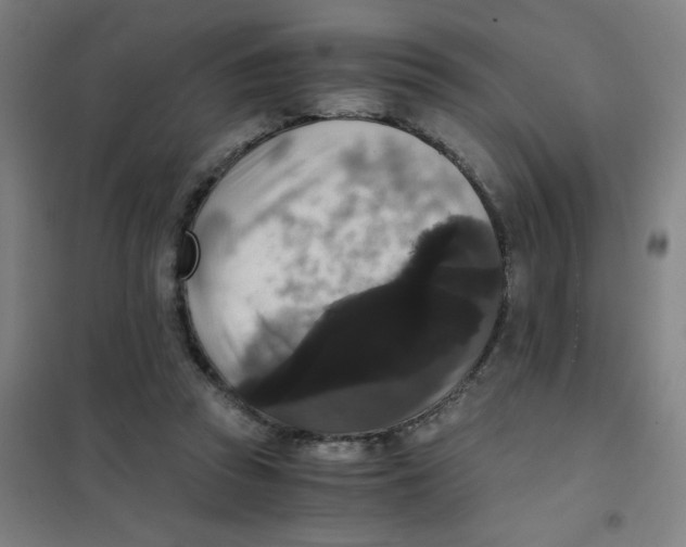 X0000101410353200808041110