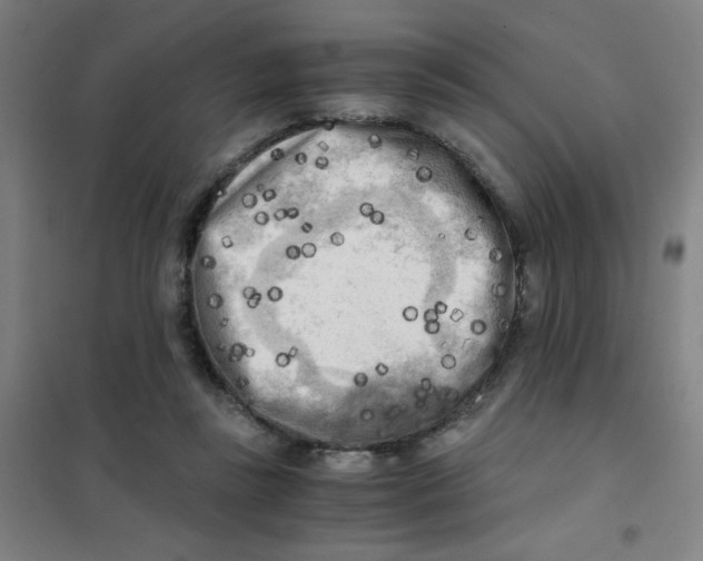 X0000101410355200808041110