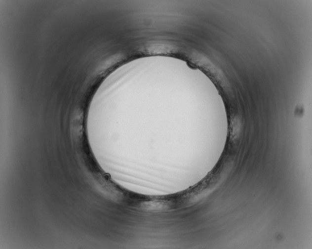 X0000101410356200808041110