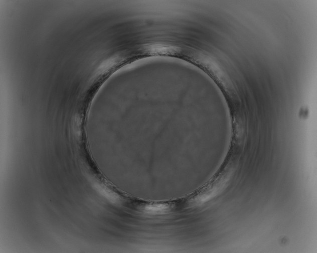 X0000101410357200808041110